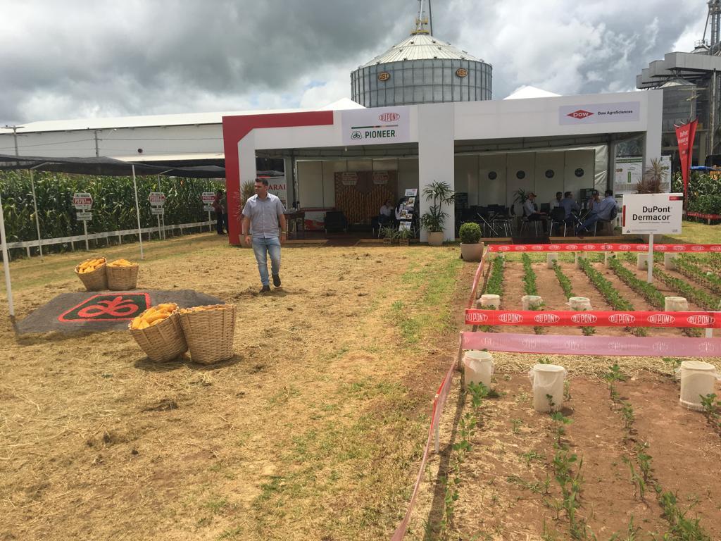 WhatsApp Image 2026-01-04 at 13.49.33 (1)