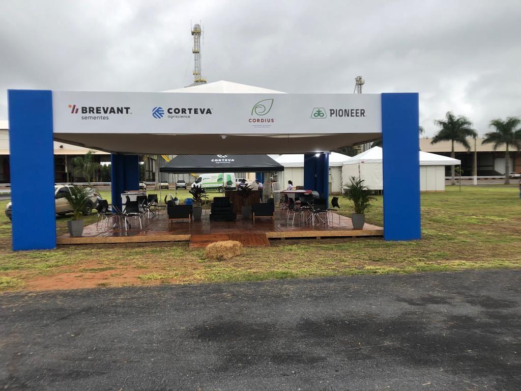 WhatsApp Image 2026-01-04 at 13.49.34